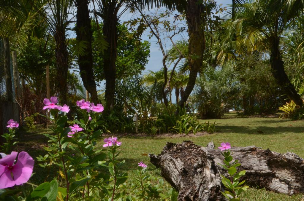 Hotel Pousada Tortuga Barra Grande  Esterno foto