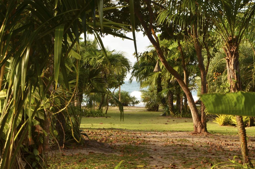 Hotel Pousada Tortuga Barra Grande  Esterno foto